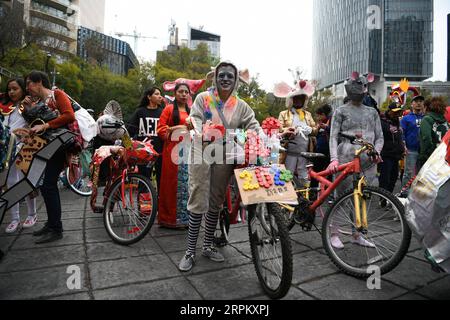 200120 -- MEXIKO-STADT, 20. Januar 2020 -- Menschen nehmen an einem Fahrrad-Tierkreiszeichen-Dekorationswettbewerb in Mexiko-Stadt, Mexiko, 19. Januar 2020 Teil. Während des Wettbewerbs werden Dutzende von Tierkreisdekorationen gezeigt, die mexikanischen Menschen einen Zugang zur einzigartigen Kultur des chinesischen Neujahrs bieten. MEXIKO-MEXIKO STADT-ZODIAC DEKORATIONS-WETTBEWERB XINXYUEWEI PUBLICATIONXNOTXINXCHN Stockfoto