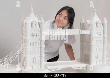 Nicht exklusiv: Die Künstlerin Michelle Wibowo verbrachte 150 Stunden damit, das Meisterwerk zu backen und zu bauen, um die 2,5-Fuß-Statue der berühmten Neo- Stockfoto