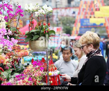 200121 -- HONG KONG, 21. Januar 2020 -- die Leute wählen Blumen und festliche Dekorationen auf einem Markt aus, um das Frühlingsfest im Victoria Park in Hong Kong, Südchina, 21. Januar 2020 zu begrüßen. CHINA-HONG KONG-SPRING FESTIVAL-FLOWER CN LIXGANG PUBLICATIONXNOTXINXCHN Stockfoto