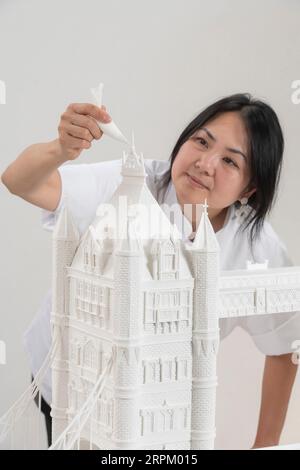 Nicht exklusiv: Die Künstlerin Michelle Wibowo verbrachte 150 Stunden damit, das Meisterwerk zu backen und zu bauen, um die 2,5-Fuß-Statue der berühmten Neo- Stockfoto