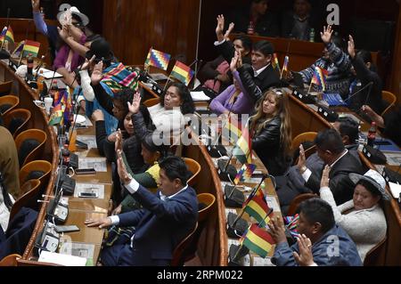 200122 -- LA PAZ, 22. Januar 2020 Xinhua -- Foto aufgenommen am 21. Januar 2020 zeigt die bolivianische Legislativversammlung in La Paz, Bolivien. Die bolivianische Legislativversammlung akzeptierte am Dienstag offiziell den Rücktritt von Evo Morales, zwei Monate nachdem er die Präsidentschaft niedergelegt und das Land verlassen hatte. Foto: Meagan Hancock/Xinhua BOLIVIA-LA PAZ-LEGISLATIVE ASSEMBLY-MORALES-RESIGNATION PUBLICATIONxNOTxINxCHN Stockfoto