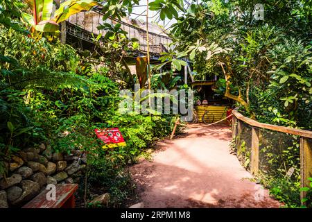 Der neu gelegene Fauna & Flora Garden von der Chelsea Flower Show 2023 im Eden Project, St Austell, Cornwall, UK Stockfoto