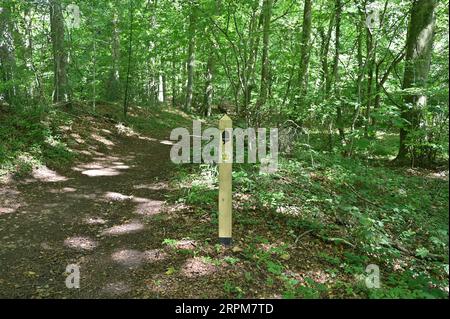 Cotswold Way Schild auf Pfad in Buckholt Wood bei Painswick, Gloucestershire Stockfoto