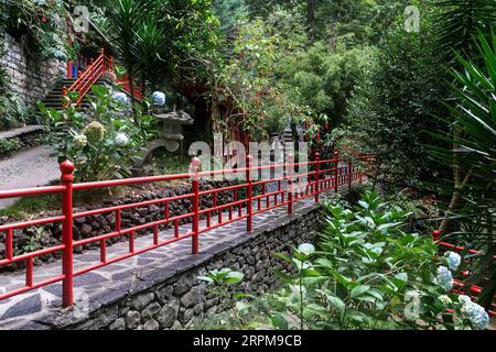 FUNCHAL, PORTUGAL - 24. AUGUST 2021: Dies sind Gassen im Nord-Oriental-Garten im Monte Tropical Park. Stockfoto