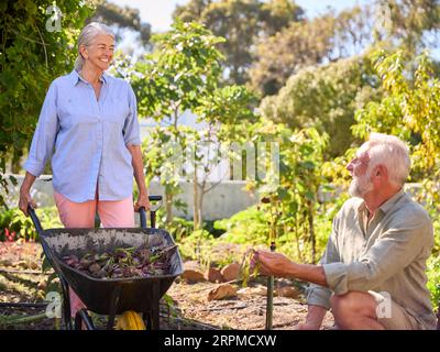 Pensioniertes Älteres Paar, Das Im Gemüsegarten Oder In Der Kleinstadt Mit Barrow Zu Hause Arbeitet Stockfoto