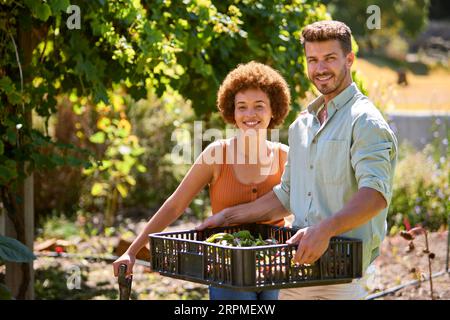 Porträt Eines Paares, Das Im Gemüsegarten Oder In Der Kleinstätte Arbeitet Stockfoto