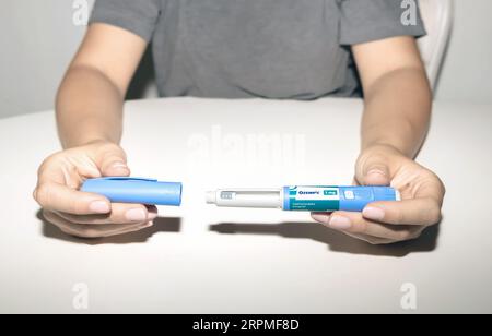 Weibliche Hände, die einen Insulinpen halten. Ozempic Insulin-Injektions-Pen oder Insulin-Patronen-Pen für Diabetiker. Medizinische Geräte für Diabeteskranke. Stockfoto