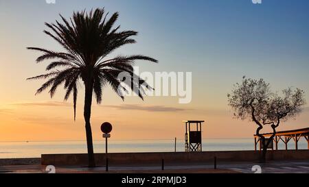 Ein atemberaubender, ruhiger Strand bei Sonnenuntergang mit einer Silhouette einer Palme in Cala Millor, Mallorca Stockfoto