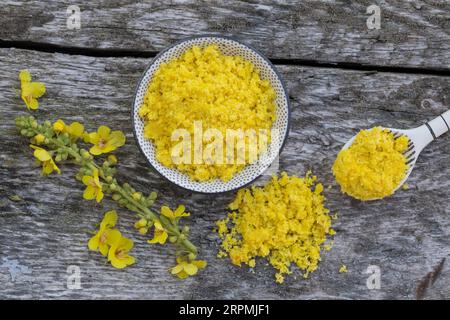 Königskerze (Verbascum spec.), selbstgemachtes Blütensalz aus essbaren Blüten Stockfoto