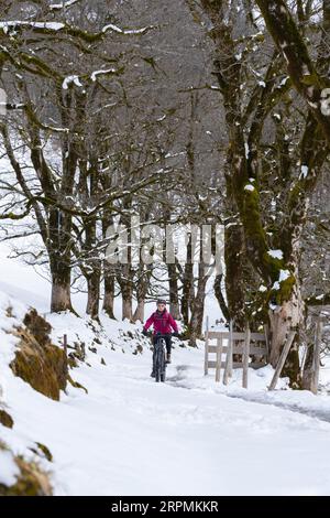 Nette Seniorin, die an einem sonnigen Wintertag in den Allgaeu-Alpen bei Oberstdorf, Bayern, mit dem E-Mountainbike unterwegs ist Stockfoto
