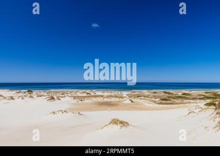 Die beliebten Peron Dunes mit 4WD Fahrern in Akaroa, in der Nähe von St. Helens in Tasmanien, Australien Stockfoto