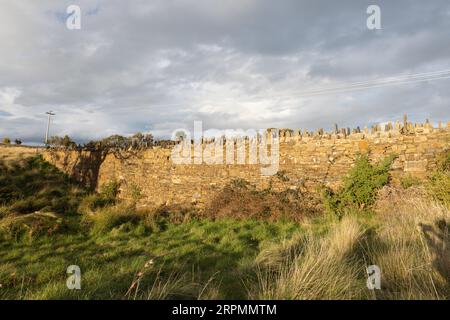 Die berühmte Spiky Bridge und die umliegende Landschaft, die Mitte des 19. Jahrhunderts von Sträflingen in der Nähe von Swansea in Tasmanien, Australien, erbaut wurde Stockfoto