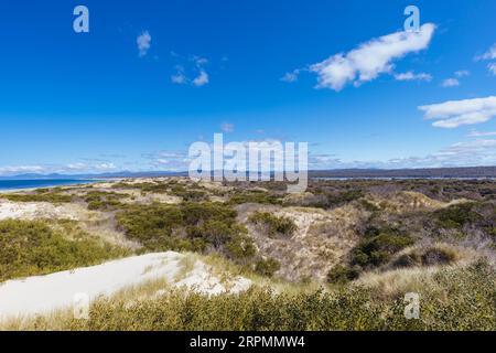 Die beliebten Peron Dunes mit 4WD Fahrern in Akaroa, in der Nähe von St. Helens in Tasmanien, Australien Stockfoto