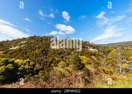 DERBY, AUSTRALIEN, 23. SEPTEMBER 2022: Gemälde der Aborigines auf Felsen und umliegende Landschaft in der ländlichen Stadt Derby an einem kalten Frühlingsmorgen Stockfoto