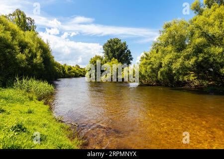 Landschaft im Sommer rund um den Kiewa River an der Keegans Bridge und Streamside Reserve im Ovens Valley in der Nähe von Mt Beauty in Victoria, Australien Stockfoto