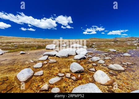 Der Snowy River in der Nähe von Seamans Hut an einem Sommertag im Kosciuszko National Park in Snowy Mountains, New South Wales, Australien Stockfoto