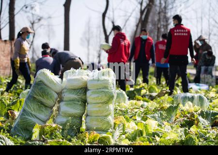 200217 -- HANSHOU, 17. Februar 2020 -- Mitarbeiter packen Gemüse in der Hanmei Vegetable Cooperative im Hanshou County, Provinz Hunan in Zentralchina, 17. Februar 2020. Insgesamt 60 Tonnen Gemüse, die von mehreren lokalen Gemüseanpflanzungsgenossenschaften gespendet wurden, machten sich am Montag aus einem Gemüseindustriepark im Hanshou County der Provinz Hunan auf den Weg in die Provinz Hubei. Seit dem Ausbruch des neuartigen Coronavirus hat Hunan über eine Vielzahl von Kanälen mehr als 613 Tonnen Gemüse für die Provinz Hubei bereitgestellt. Foto von /Xinhua CHINA-HUNAN-HANSHOU-NCP-VEGETABLE SUPPLY CN ChenxSihan PUBLICATIONxNOTxI Stockfoto