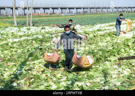 200217 -- HANSHOU, 17. Februar 2020 -- Mitarbeiter liefern Gemüse in der Hanmei Gemüsekooperative im Hanshou County, Provinz Hunan in Zentralchina, 17. Februar 2020. Insgesamt 60 Tonnen Gemüse, die von mehreren lokalen Gemüseanpflanzungsgenossenschaften gespendet wurden, machten sich am Montag aus einem Gemüseindustriepark im Hanshou County der Provinz Hunan auf den Weg in die Provinz Hubei. Seit dem Ausbruch des neuartigen Coronavirus hat Hunan über eine Vielzahl von Kanälen mehr als 613 Tonnen Gemüse für die Provinz Hubei bereitgestellt. Foto von /Xinhua CHINA-HUNAN-HANSHOU-NCP-VEGETABLE SUPPLY CN ChenxSihan PUBLICATIONxNO Stockfoto