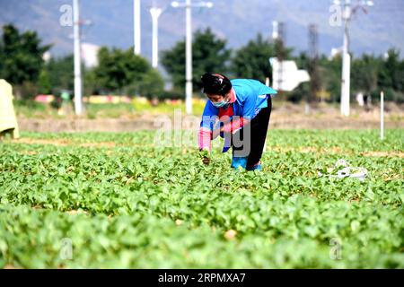 200218 -- QIANDONGNAN, 18. Februar 2020 -- Ein Dorfbewohner arbeitet auf dem Feld im Rongjiang County, Miao und Dong Autonome Präfektur Qiandongnan, südwestchinesische Provinz Guizhou, 18. Februar 2020. Die Dorfbewohner in ganz China waren in letzter Zeit mit der landwirtschaftlichen Produktion beschäftigt, da sich das Wetter erwärmt. Foto von /Xinhua CHINA-SPRING-FARMING CN WangxBingzhen PUBLICATIONxNOTxINxCHN Stockfoto