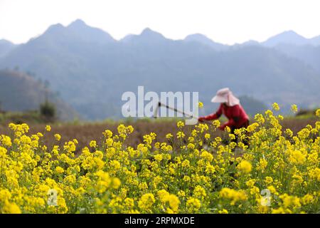 200218 -- QIANDONGNAN, 18. Februar 2020 -- Ein Dorfbewohner arbeitet auf dem Feld im Dorf Baini im Kreis Danzhai, Miao und Dong Autonome Präfektur Qiandongnan, Provinz Guizhou im Südwesten Chinas, 18. Februar 2020. Die Dorfbewohner in ganz China waren in letzter Zeit mit der landwirtschaftlichen Produktion beschäftigt, da sich das Wetter erwärmt. Foto von /Xinhua CHINA-SPRING-FARMING CN HuangxXiaohai PUBLICATIONxNOTxINxCHN Stockfoto