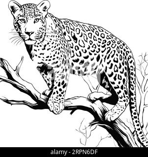 Leopardenkatze, sitzt im Baum. Handgezeichnete Illustration für Tattoo-Design, Emblem, Abzeichen, T-Shirt-Druck. Gravur von Wildtieren. Klassischer Vintage-Stil Stock Vektor