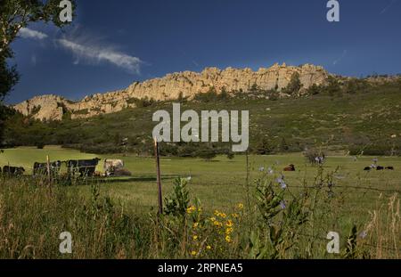 Highway of the Legends im Spanish Peaks Mountain von Colorado Stockfoto