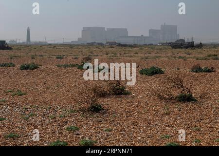 Dungeness Kernkraftwerk - Dungeness A & B - ein Paar nicht funktionstüchtiger Kernkraftwerke auf der Landzunge Dungeness, Kent England Stockfoto