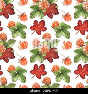 Nahtloses Aquarellmuster mit Wolkenbeeren auf weißem Hintergrund. Nordische Waldbeeren und -Blätter. Stockfoto