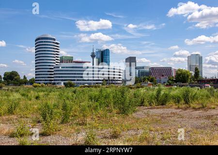 Blick auf den Medienhafen von der Seite des Industriehafens, Brachland im Vordergrund Stockfoto