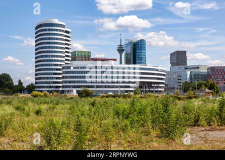 Blick auf den Medienhafen von der Seite des Industriehafens, Brachland im Vordergrund Stockfoto