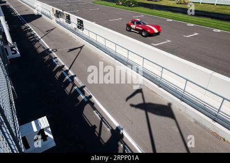 Bill Thomas’s Cheetah Shelby Cobra aus den 1960er Jahren auf der Rennstrecke Goodwood, Chichester, West Sussex, UK, auf der Rennstrecke für Revival Stockfoto