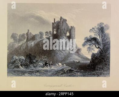 Carrigogunnell Castle, County Limerick Steel Kupferstich aus den Landschaften und Antiquitäten Irlands von Bartlett, W. H. (William Henry), 1809-1854, Illustrator.Band 2. London: George Virtue 1842 William Henry Bartlett (26. März 1809 – 13. September 1854) war ein britischer Künstler, der vor allem für seine zahlreichen Zeichnungen bekannt war, die in Stahlstiche geritzt wurden. Stockfoto