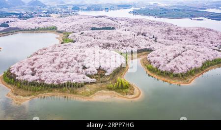 News Bilder des Tages 200312 -- GUIAN, 12. März 2020 -- Luftaufnahme aufgenommen am 12. März 2020 zeigt die Landschaft der Kirschblüten im neuen Bezirk Guian, südwestchinesische Provinz Guizhou. CHINA-GUIZHOU-GUIAN-KIRSCHBLÜTEN CN TAOXLIANG PUBLICATIONXNOTXINXCHN Stockfoto