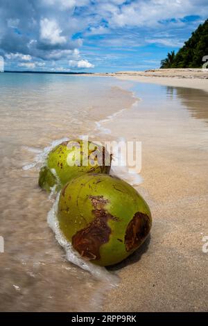 Panama, Archipielago de Bocas del Toro, die unbewohnte Insel Cayos Zapatilla Stockfoto