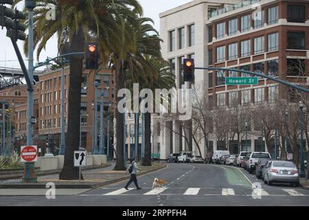 200317 -- SAN FRANCISCO, 17. März 2020 -- Eine Frau überquert eine Straße mit ihrem Hund in San Francisco, USA, 16. März 2020. Sechs Grafschaften in der Bay Area im Norden Kaliforniens, einschließlich San Francisco, gaben am Montag eine öffentliche Gesundheitsordnung bekannt, die die Bewohner auffordert, zu Hause zu bleiben, außer für wesentliche Aktivitäten. Foto von /Xinhua U.S.-SAN FRANCISCO-COUNTIES-UNNECESSARY OUTDOOR ACTIVITIES-BAN LiuxYilin PUBLICATIONxNOTxINxCHN Stockfoto