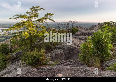 Blick auf den Berg vom Cheyene Rock Village Park in der Nähe von Leesburg, Alabama Stockfoto