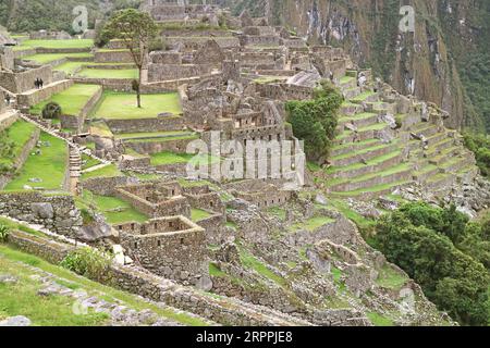 Erstaunliche Ruinen von Inka-Strukturen in der Zitadelle Machu Picchu, UNESCO-Weltkulturerbe in der Provinz Urubamba in Peru, Südamerika Stockfoto