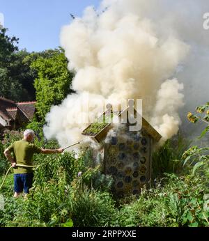 London, Großbritannien. September 2023. Ein Mitarbeiter des Parks versucht, das Feuer zu löschen, das in einer Holzkonstruktion ausbrach, die Insekten im St. James's Park nahe der Rückseite der Downing Street beherbergt. Eine Person wurde wegen mutmaßlicher Brandstiftung inhaftiert. Quelle: Vuk Valcic/Alamy Live News Stockfoto