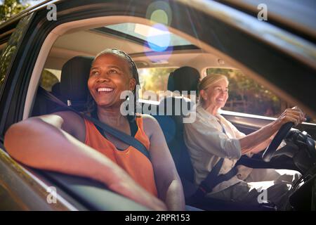 Zwei Ältere Weibliche Freunde Genießen Einen Tagesausflug Mit Dem Auto Stockfoto
