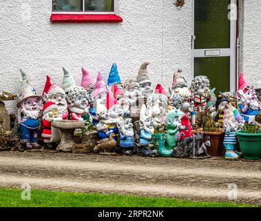 Große Sammlung von Gartenzwergen, die den Vorgarten eines Hauses in Wiltshire, Großbritannien, bewachen Stockfoto