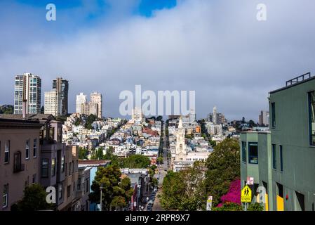 Blick auf San Francisco von der Filbert Street. Stockfoto