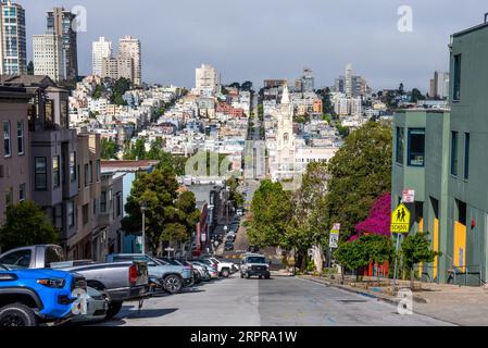 Blick auf San Francisco von der Filbert Street. Stockfoto