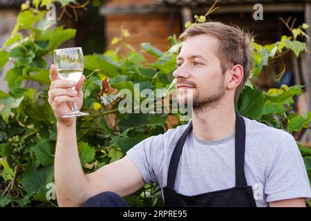 Porträt eines jungen Winzers, der die Qualität des Weißweins auf dem Weinberg während eines Sonnenuntergangs überprüft. Konzept für kleine Unternehmen Stockfoto