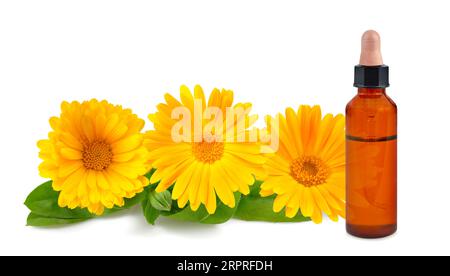 Ringelblumen mit Flasche mit Essenz isoliert auf weiß Stockfoto