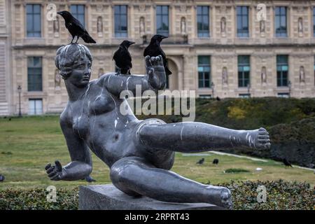 200408 -- PEKING, 8. April 2020 -- Crows ruhen am 6. April 2020 auf einer Statue in Paris, Frankreich, und Frankreich verhängte am 17. März eine zweiwöchige landesweite Sperre, die bis zum 15. April verlängert wurde. Unter der Sperrung wurden die Menschen gezwungen, zu Hause zu bleiben, außer für Reisen zu Zwecken der Arbeit, der Gesundheit oder zum Einkaufen von Notwendigkeiten. Foto von /Xinhua XINHUA FOTOS DES TAGES AurelienxMorissard PUBLICATIONxNOTxINxCHN Stockfoto