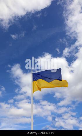 Flagge der Ukraine mit den Farben blau über gelb unten winkend im blauen Himmel und weißen Wolken mit Platz oben für Ihre eigene Textbeschriftung Stockfoto