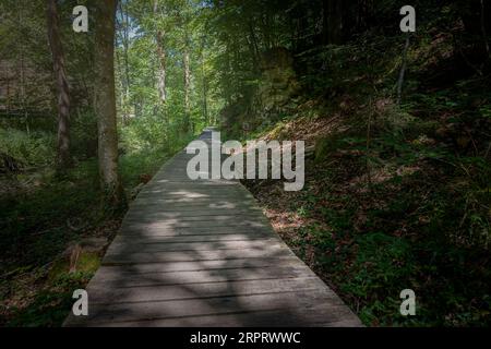 Idyllischer Holzwanderweg in den Wäldern der Region Müllerthal, auch bekannt als kleine Schweiz, Luxemburg Stockfoto