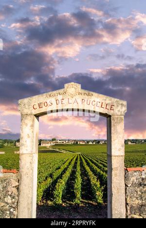 Puligny Montrachet Clos de la Pucelle Premier Cru Weinberg Sonnenuntergang, Eingang aus Stein, der Reben im Dorf Puligny in b/g, Cote d'Or, Burgund, Frankreich umrahmt Stockfoto