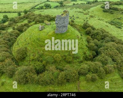 Die Ruinen von Shanid Castle in County Limerick, einer wichtigen anglo-normannischen Festung, zertrümmerten die Schale eines polygonalen Turms, einer großen Erdmotte Stockfoto