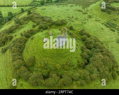 Die Ruinen von Shanid Castle in County Limerick, einer wichtigen anglo-normannischen Festung, zertrümmerten die Schale eines polygonalen Turms, einer großen Erdmotte Stockfoto